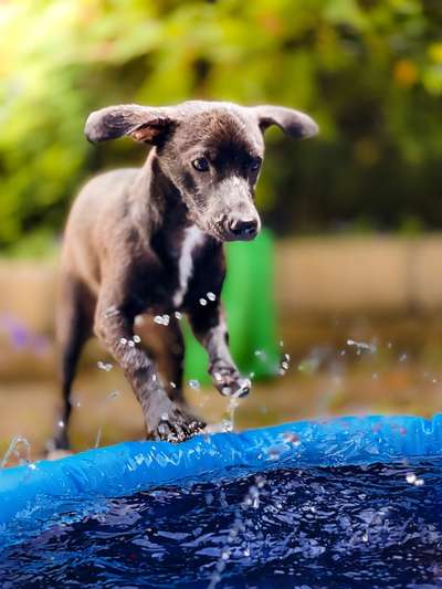 Theos Fotochallange Nummer 4-Beitrag-Bild