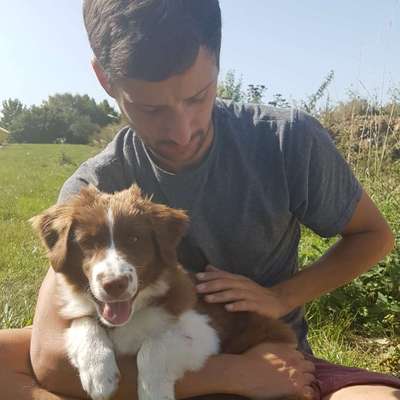 Hundetreffen-Gassi- oder Spielrunde-Profilbild