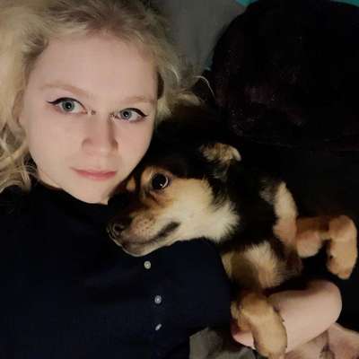 Hundetreffen-Spazier und Spielpartner gesucht-Profilbild