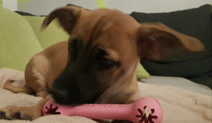 Foto Challenge 3-Beitrag-Bild