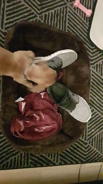 Fotochallenge No. 5-Beitrag-Bild