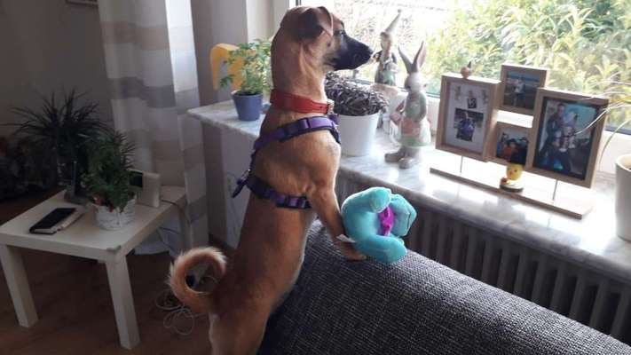 Foto Challenge die Vierte-Beitrag-Bild