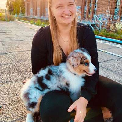 Hundetreffen-Social Walk / gemeinsames Training (vllt auch Spiel nach vorheriger Ruhe/Sympathie)