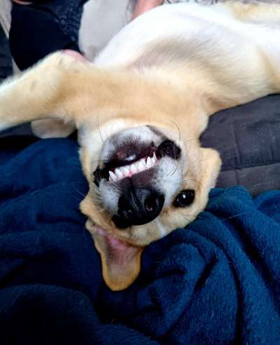 Das beste grinsefoto-Beitrag-Bild