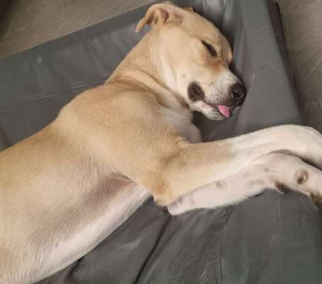 Foto Challenge Nr. 134-Beitrag-Bild