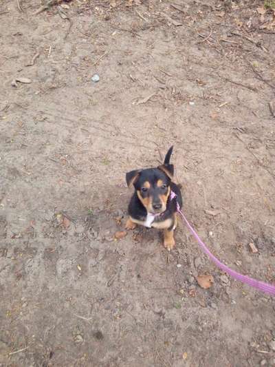 Sie werden so schnell erwachsen ...-Beitrag-Bild