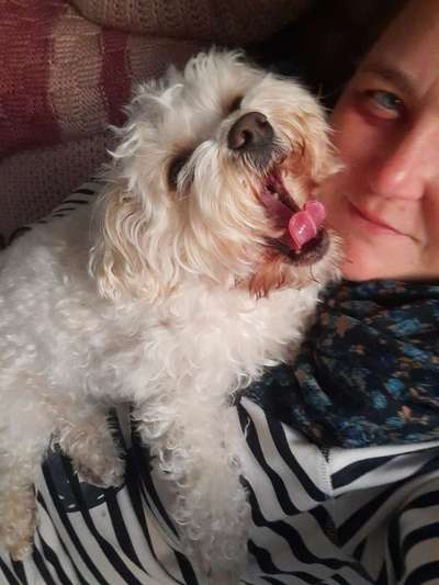 Fotochallenge Nr. 59 - Mein Hund zeigt die Zunge-Beitrag-Bild