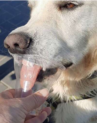 Fotochallenge Nr. 94 It's summer time-Beitrag-Bild