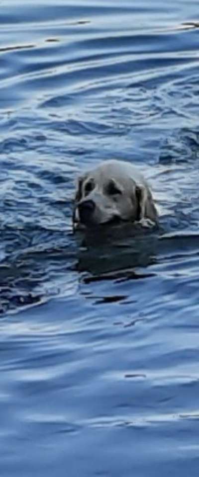 FOTOCHALLANGE NR.71 BADEFREUDE-Beitrag-Bild