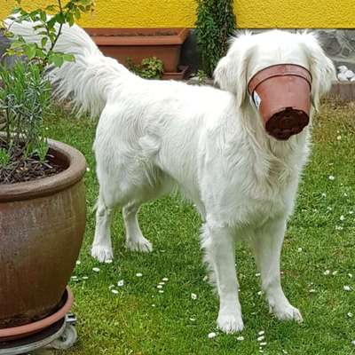 Fotochallenge Nr. 64-Beitrag-Bild