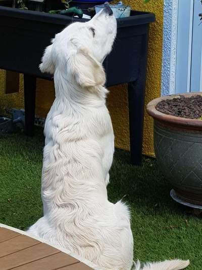 FOTOCHALLENGE 86-Beitrag-Bild