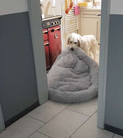 13. Farben-Fotochallenge "Grau"-Beitrag-Bild