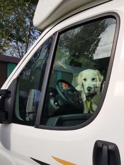 14. Farbenfoto-Challenge "Weiss"-Beitrag-Bild