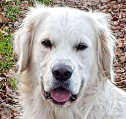 Fotochallange Nr. 57     PORTRÄT.   Beendet!!!!!!!!-Beitrag-Bild