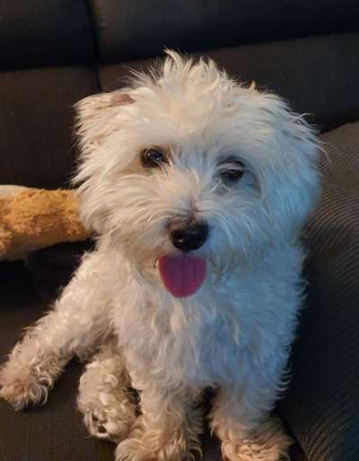 Lieblingsbild :D-Beitrag-Bild