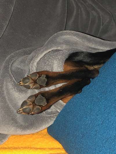 Challenge 21 - wo bin ich : )-Beitrag-Bild