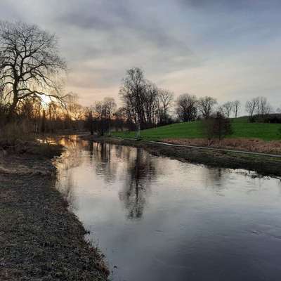 Hundetreffen-Sozial Walk-Profilbild