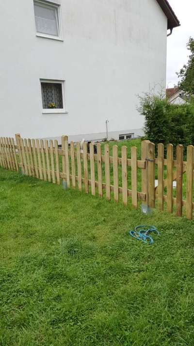 An alle Husky Besitzer-Beitrag-Bild