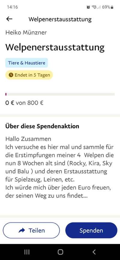 Luxusgut Hund-Beitrag-Bild