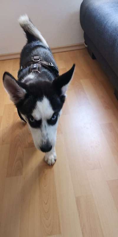 Erstes Bild-Beitrag-Bild