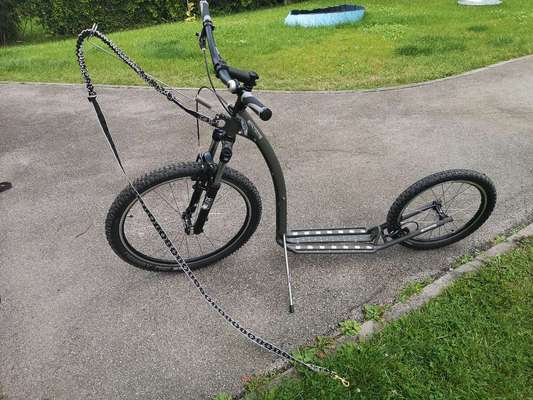 Radfahren mit Hund-Beitrag-Bild