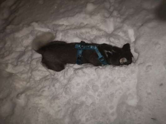 Challenge Nr. 15
Spiel im Schnee-Beitrag-Bild