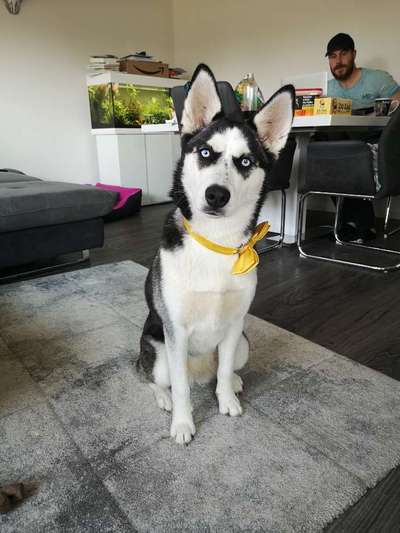 Lieblingsbild :D-Beitrag-Bild