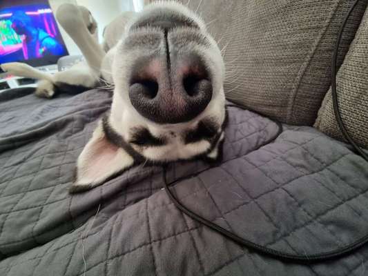 Fotochallange 84-Beitrag-Bild