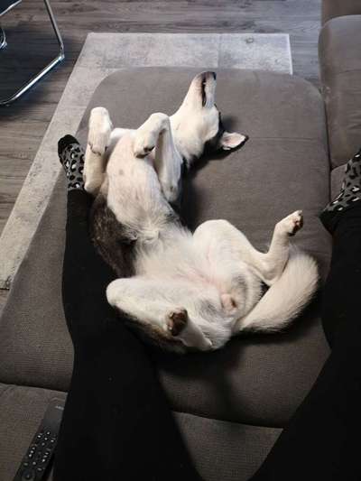 Fotochallenge Nr.65-Beitrag-Bild