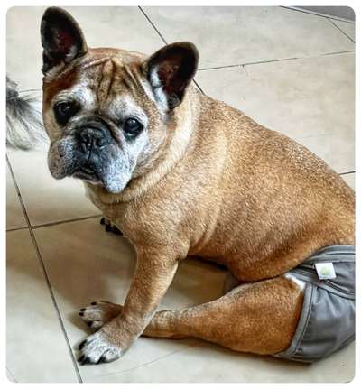 Fotochallenge Nr. 56 - geliebte Senioren-Beitrag-Bild