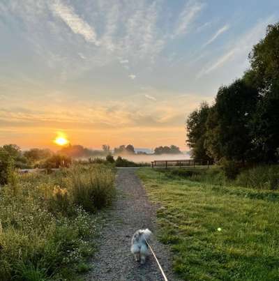 SonnenSTRAHLEN-Beitrag-Bild