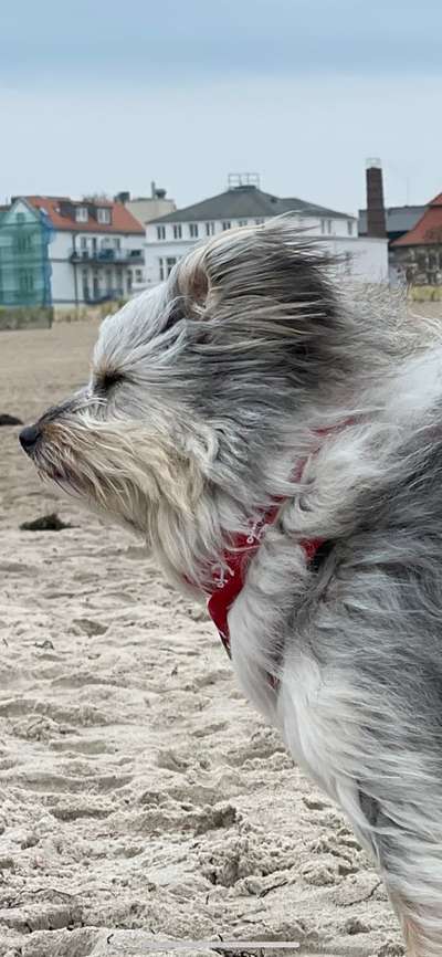 Handy-Foto-Challange Nr.9-Beitrag-Bild