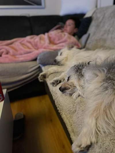 Fotowettbewerbe-Beitrag-Bild