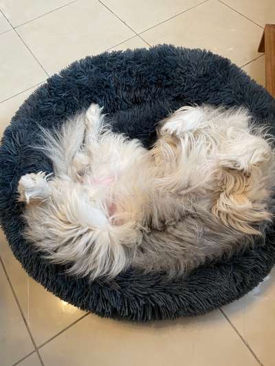 Die unbequemsten und lustigsten Schlafpositionen-Beitrag-Bild