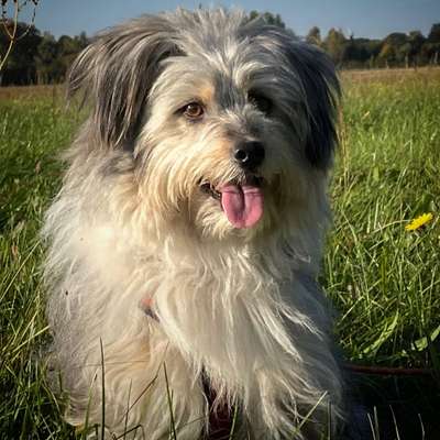 Fotochallange Nr. 57     PORTRÄT.   Beendet!!!!!!!!-Beitrag-Bild