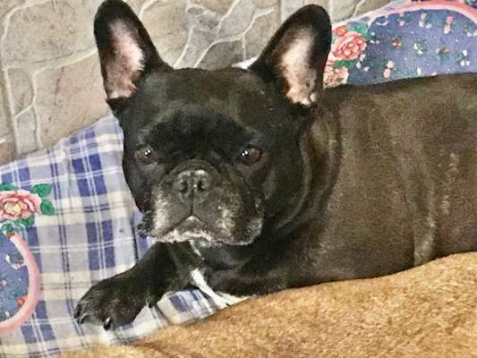 Fotochallenge Nr. 56 - geliebte Senioren-Beitrag-Bild