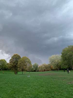 Hundeauslaufgebiet-Nippeser Tälchen/Niehler Kirchweg-Bild