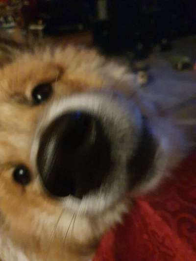 Ratespaß geht weiter-Beitrag-Bild