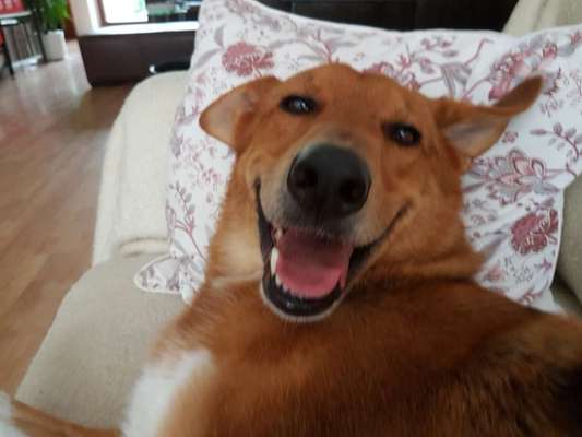 Challenge Nr. 10: "Das schönste Lächeln"-Beitrag-Bild