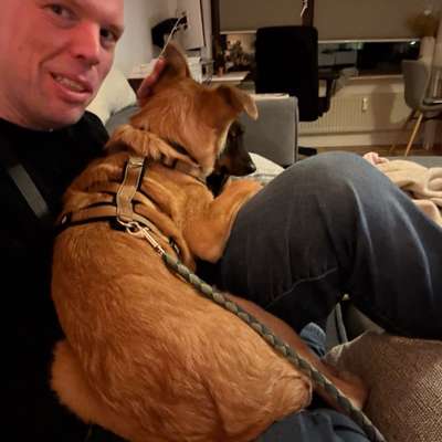 Hundetreffen-Treffen mit Jung- und Althund