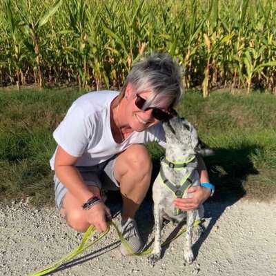 Hundetreffen-Gemeinsames Gassi gehen-Profilbild