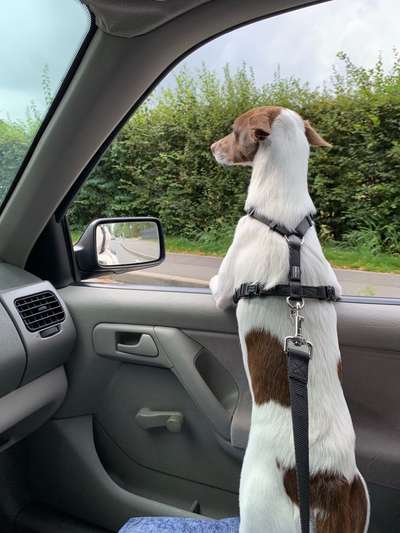 CHALLENGE NR. 18 - ON TOUR-Beitrag-Bild