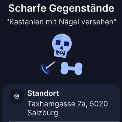 Giftköder-Kastanien mit Nägel versehen-Bild
