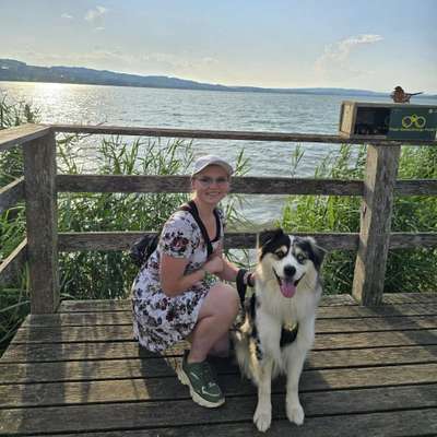 Hundetreffen-Spiel-/übungs Spaziergänge-Profilbild