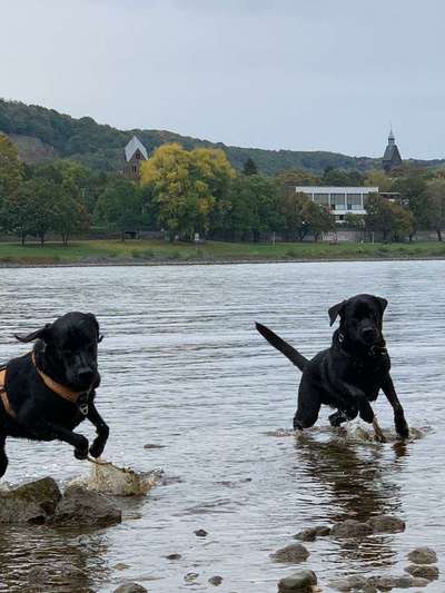 Zeigt mir eure Lieblingsfotos ♡♡-Beitrag-Bild