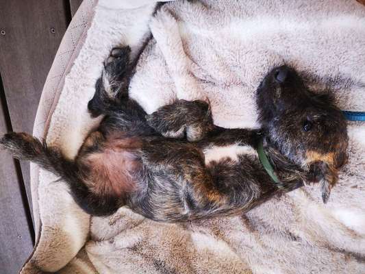 Fotochallange 84-Beitrag-Bild