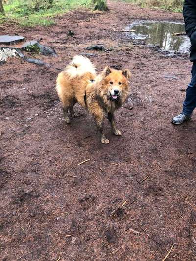 Zeigt mir doch mal eure Dreckspätze-Beitrag-Bild