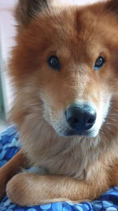 Gemeinsames Kuscheln im Bett!-Beitrag-Bild