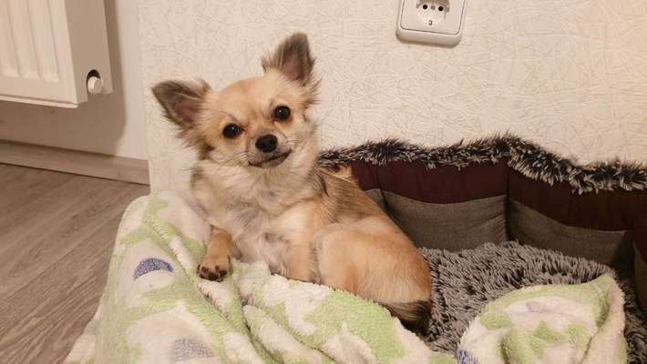 Immer lächeln !-Beitrag-Bild