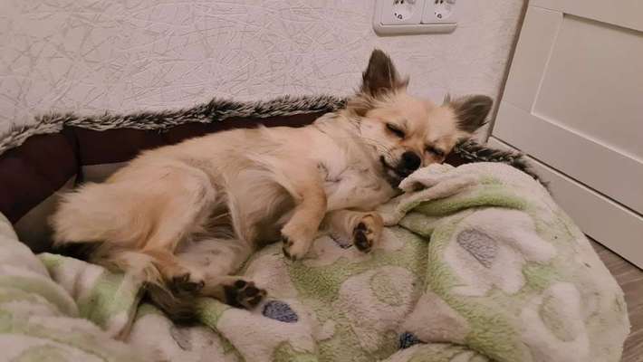 Die unbequemsten und lustigsten Schlafpositionen-Beitrag-Bild